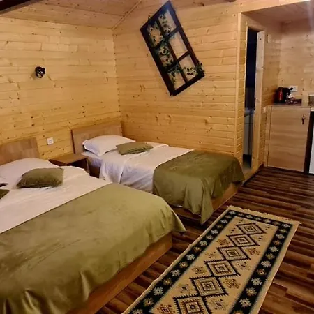 Baltina Parc Transfagarasan Tatil Evi