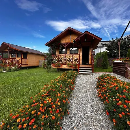 Baltina Parc Transfagarasan Tatil Evi Curtea de Argeş