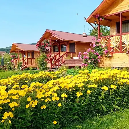 Tatil Evi Baltina Parc Transfagarasan *
