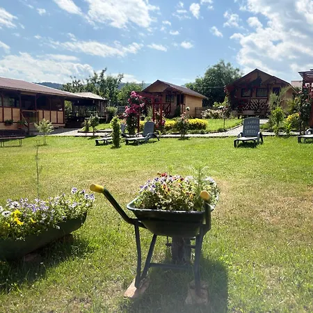 Tatil Evi Baltina Parc Transfagarasan